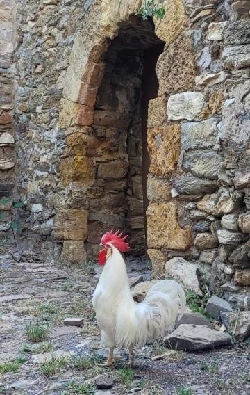Casa Rural Vilaspasa, Alquiler Integro Gotarta Exterior foto